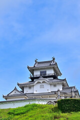 Fototapeta premium 掛川城天守閣 静岡県掛川市