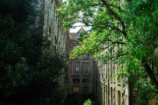Abandoned building surrounded by overgrown greenery in Park D. Carlos I Caldas da Rainha, Portugal, under sunlight.
