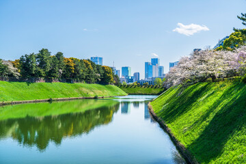 東京の桜の名所　千鳥ヶ淵の都市風景【東京都・千代田区】　
Famous cherry blossom spots in Tokyo. The urban landscape of Chidorigafuchi. - Tokyo, Japan