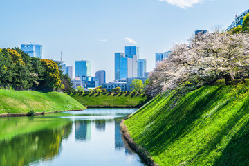 東京の桜の名所　千鳥ヶ淵の都市風景【東京都・千代田区】　
Famous cherry blossom spots in Tokyo. The urban landscape of Chidorigafuchi. - Tokyo, Japan