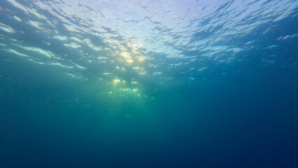 View of the sun from underwater. Sunlight passes underwater through the surface of the sea. View of the sun through the surface of the ocean.