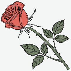 silhouette rose on white background