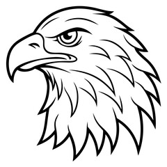 Eagle head line art vector illustration and white background