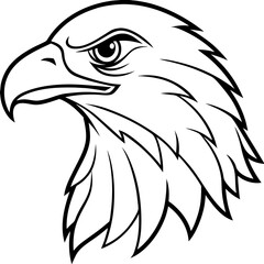 Eagle head line art vector illustration and white background