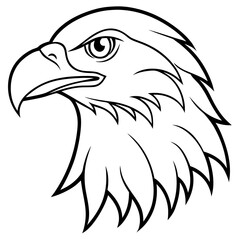Eagle head line art vector illustration and white background