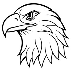 Eagle head line art vector illustration and white background