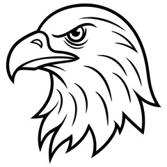 Eagle head line art vector illustration and white background