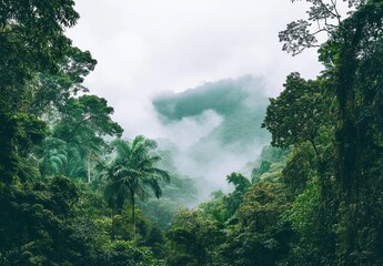 Obraz premium Lush Tropical Rainforest Landscape with Misty Mountains and Dense Vegetation Beneath a Cloudy Sky
