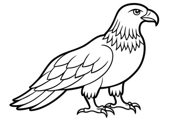 Eagle Full body line art vector illustration and white background
