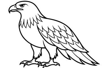 Eagle Full body line art vector illustration and white background
