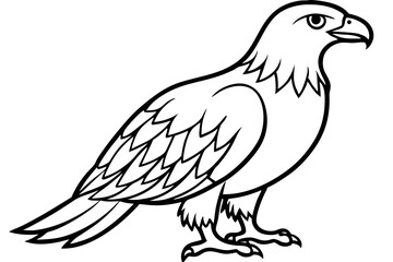 Eagle Full body line art vector illustration and white background
