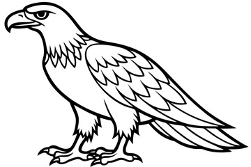 Eagle Full body line art vector illustration and white background