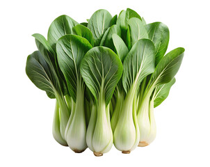 Isolated bok choy cutout on clear transparent background perfect PNG for cooking blogs, graphics, and product mockups