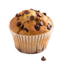 Single Chocolate Chip Muffin Isolated