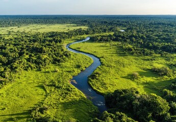 Lush Green River Meandering Through Dense Forest in Vibrant Landscape Under Clear Blue Sky Surrounded by Natural Beauty and Tranquility