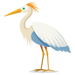 Obraz premium Egret Bird set on white background
