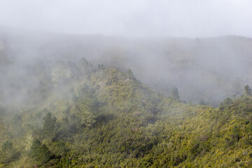 Misty mountains with trees and valley
