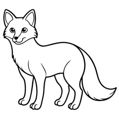 Arctic Fox line art vector illustration and white background