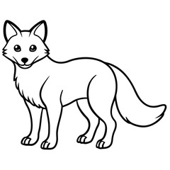 Arctic Fox line art vector illustration and white background