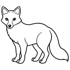 Arctic Fox line art vector illustration and white background