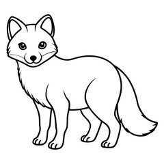 Arctic Fox line art vector illustration and white background