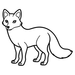 Arctic Fox line art vector illustration and white background