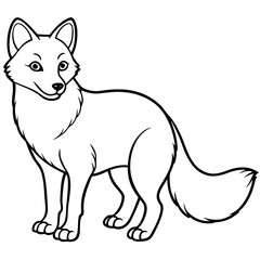 Arctic Fox line art vector illustration and white background