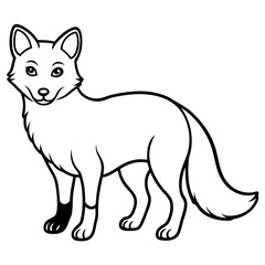 Arctic Fox line art vector illustration and white background