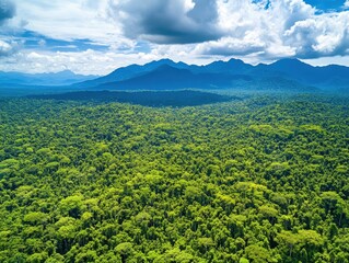 Fototapeta premium Lush Green Jungle Landscape with Dense Foliage Under Dramatic Cloudy Sky and Majestic Mountains in Background During Daylight