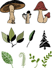 set if mushroom and leaf element vector illustration