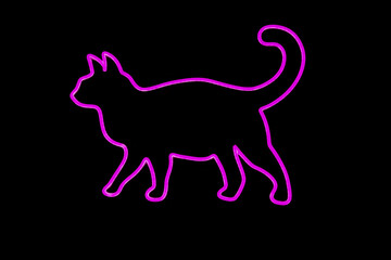 violet purple Cat Neon Sign symbol isolated on black background.