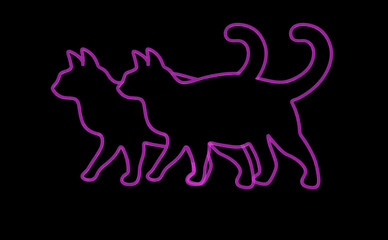 purple violet of couple, 2 two walking Cats Neon Sign symbol isolated on black background.