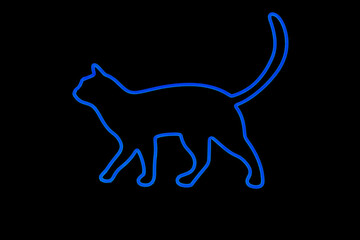 light blue of couple, 2 two walking Cats Neon Sign symbol isolated on black background.