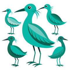 Teal Birds set  on white background
