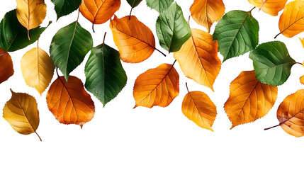 Obraz premium Fall Foliage Background Orange/Yellow Leaves for Seasonal Designs.