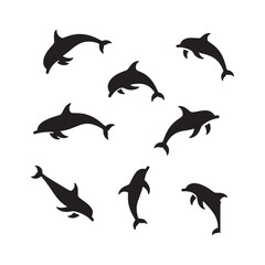 Black Dolphin Silhouette Vector Collection