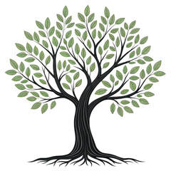 Obraz premium Tree clipart png tall tree clipart png park tree clipart png outdoor plant clipart png forest tree clipart png transparent background image