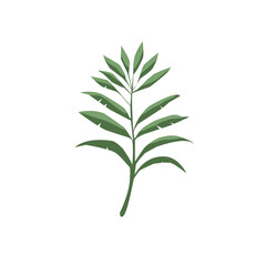 Green Leaf Vector Design Element
