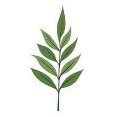 Green Leaf Vector Design Element