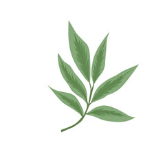 Green Leaf Vector Design Element