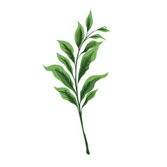 Green Leaf Vector Design Element