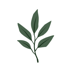Green Leaf Vector Design Element