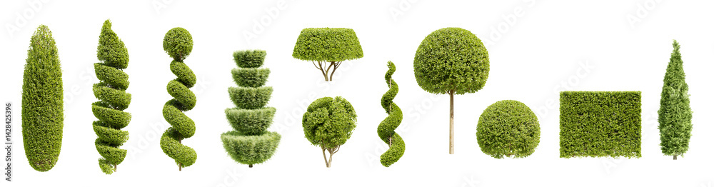 Leinwandbilder collection of trimmed trees and bushes isolated on transparent background. 3d render.