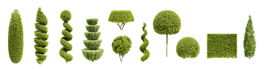 Collection of trimmed trees and bushes isolated on transparent background. 3D render.