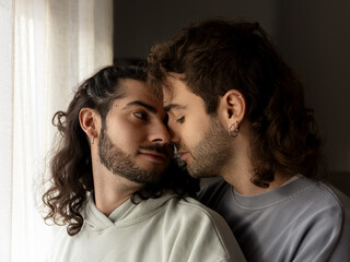 Emotional connection between two gay men at home