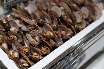Scallops and Shellfish on White Plate, Fresh Seafood with Ocean Flavor