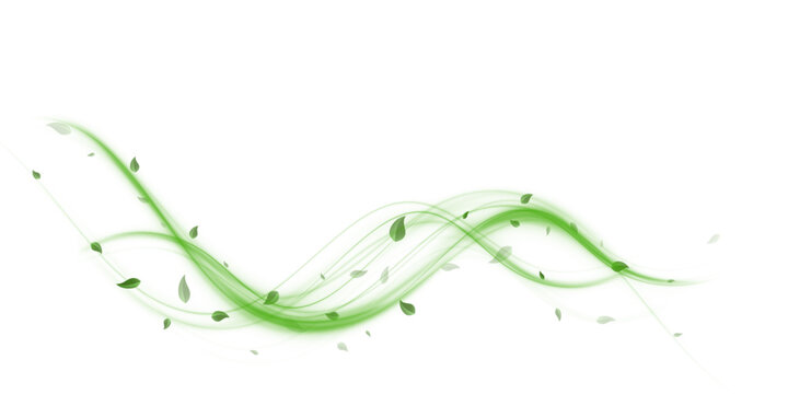 Abstract wind swirls with green leaves and glitter isolated on white background.