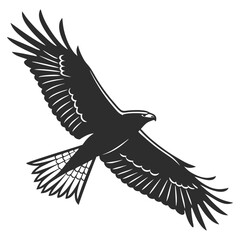 Majestic Black and White Hawk Silhouette – Versatile Graphic Design.