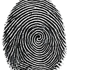 fingerprint on white background