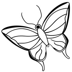 Simple Sea Butterfly Outline Design
